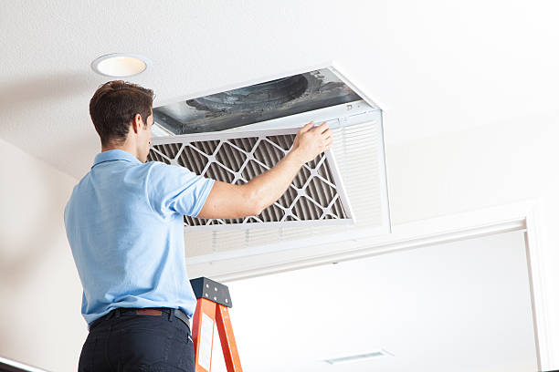 Best Air Filters and Purifiers in Landover Hills, MD